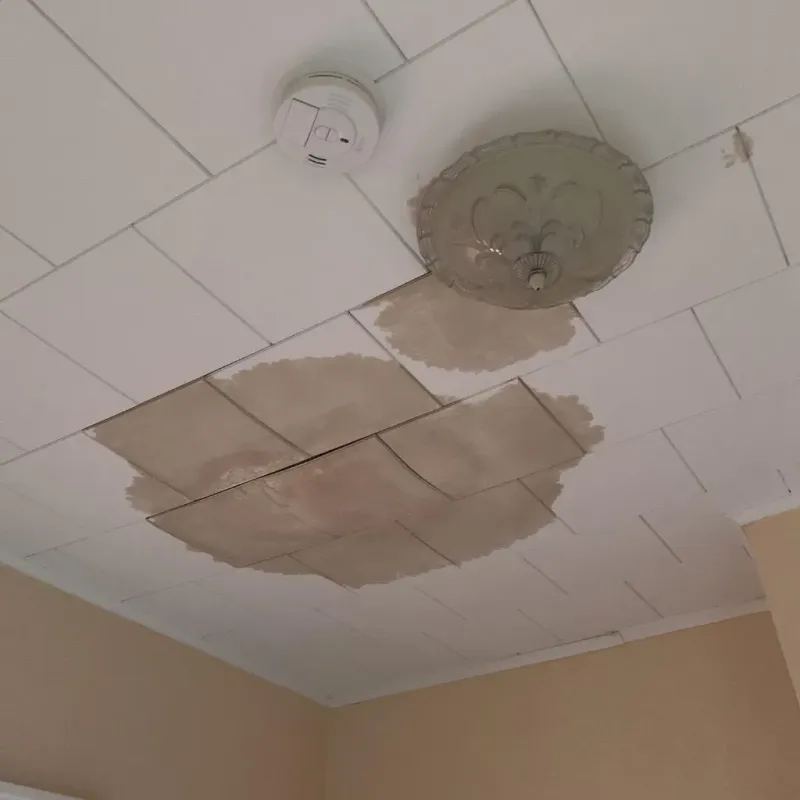 Ceiling Water Damage Repair in Peculiar, MO